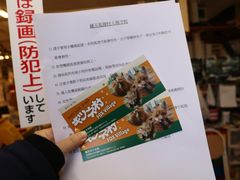 -宫城藏王狐狸村