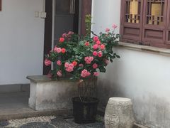 -南京市民俗博物馆(甘熙故居)