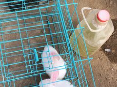 -示范集贸市场