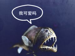-厦门海底世界
