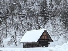 -白川乡与五箇山的合掌构造村落