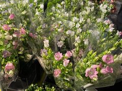 -循礼门鲜花花市(武汉循礼门店)