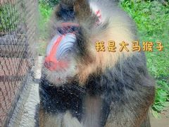-哈尔滨北方森林动物园