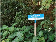 -火炉山森林公园