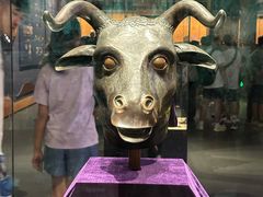 -广西壮族自治区博物馆