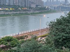 -李子坝梁山鸡(李子坝大鸡哥店)