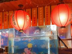 -鸟鹏烧鸟居酒屋(熙龙湾店)