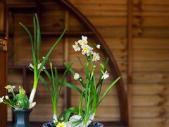 -共青国家森林公园-售票处