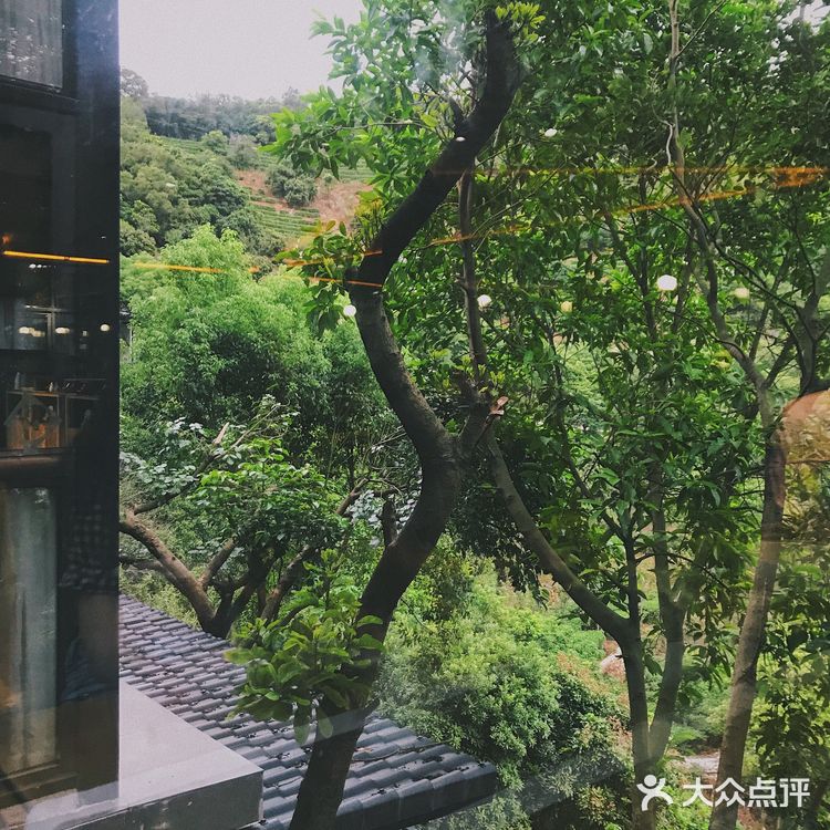 泉州的世外桃源🌳逃离城市 去享受大自然