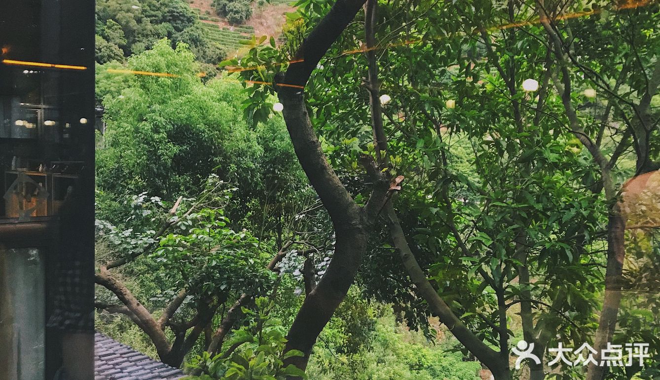 泉州的世外桃源🌳逃离城市 去享受大自然