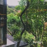 泉州的世外桃源🌳逃离城市 去享受大自然