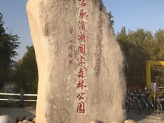 -合肥滨湖国家森林公园