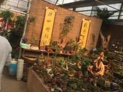-秦美花卉(天朗·莱茵小城2期店)