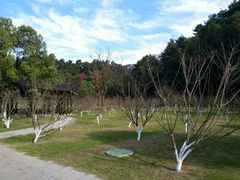 -常德桃花源景区