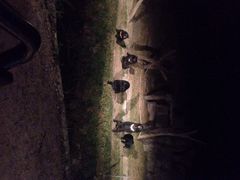 iphone_upload_pic-清迈夜间动物园