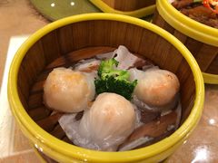 -潮福汇