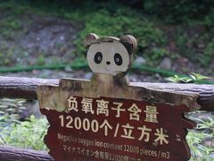 -西岭雪山大飞水景区
