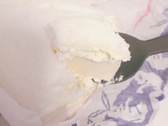 -Mnemosyne尼莫西妮(香港城店)
