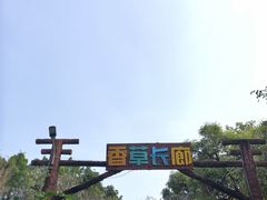 -广东花都香草世界旅游度假区