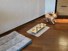 -上海佘山世茂艾美酒店