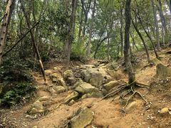 -灵岩山风景区