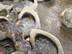 -成都市活水公园