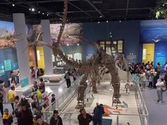 -国家自然博物馆