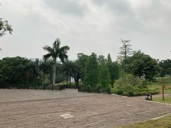-广西壮族自治区药用植物园