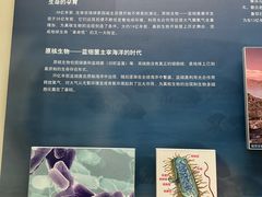 -天津自然博物馆