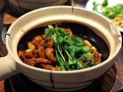 啫啫猪大肠-七寸飝大饭店(马场店)