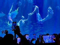 -华夏文旅海洋公园