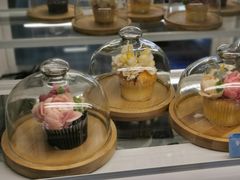 -Sirena海妖日咖夜酒