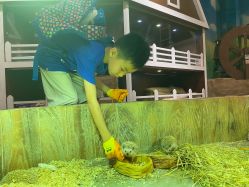 -宝燕乐园(闵行旗舰店)