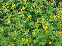 -哈尔滨师范大学(松北校区)