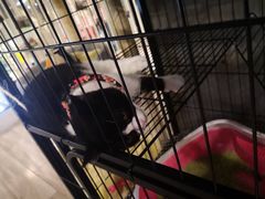 -SAH健身私教工作室(紫东店)