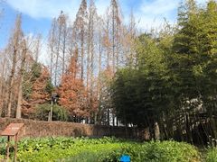 -乌村