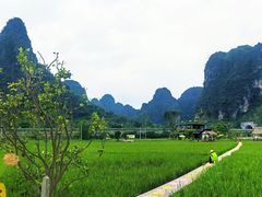 -明仕田园