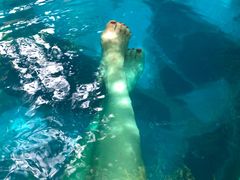 -湖泉半山温泉(湖泉生态园)