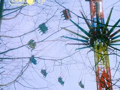 -洋湖国家湿地公园