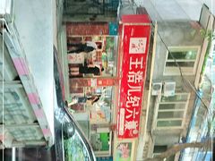 -王浩儿纪六孃甜皮鸭(乐山总店)