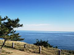 -刘公岛景区