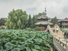 -莲池书院博物馆
