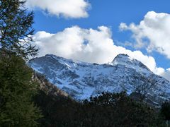 -黄龙山原始森林景区