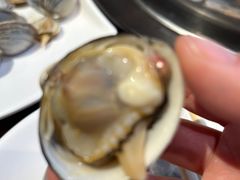 白蚬子-海味当家·蒸锅海鲜(星海公园店)