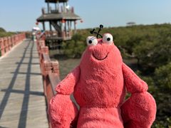 -北海金海湾红树林生态旅游区