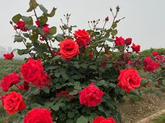 -雪浪山卡丁车俱乐部