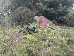 -乌山风景区