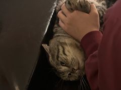 -瑞派康怡24h宠物医院·犬猫医疗中心·微创绝育(瑞景分院)