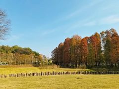 -青龙山国家森林公园