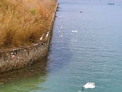 -碧桂园十里银滩